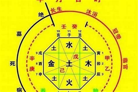 喜水木職業|【喜用神水木】八字喜用神為「水木」不可不知，適合哪些工作、。